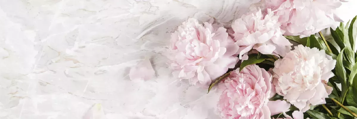 Новое поступление экзотки 