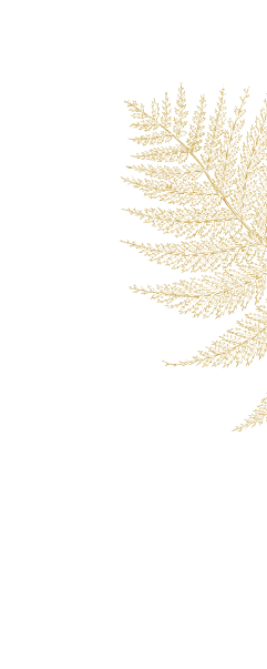 Вправо в верх