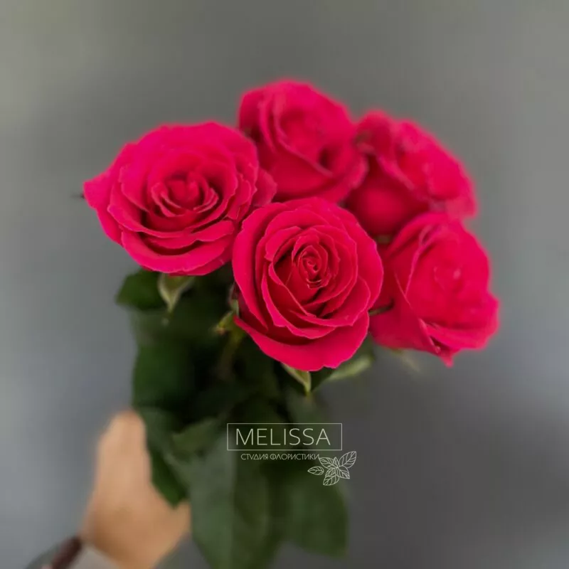 Моно &laquo;Малина&raquo; N5