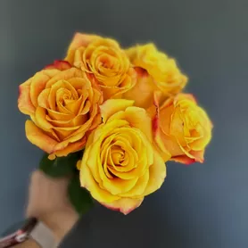 Моно Yellow 5 от интернет-магазина «Мелисса» в Нижнем Тагиле