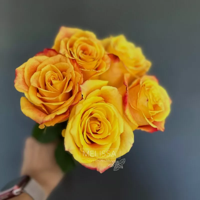 Моно Yellow 5
