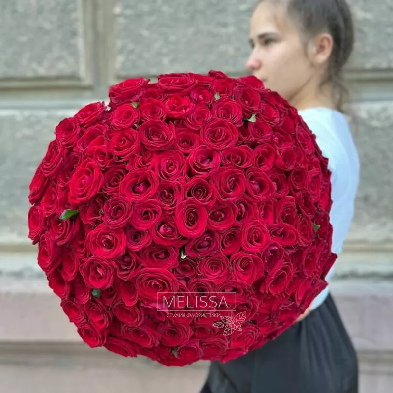 Моно red 101