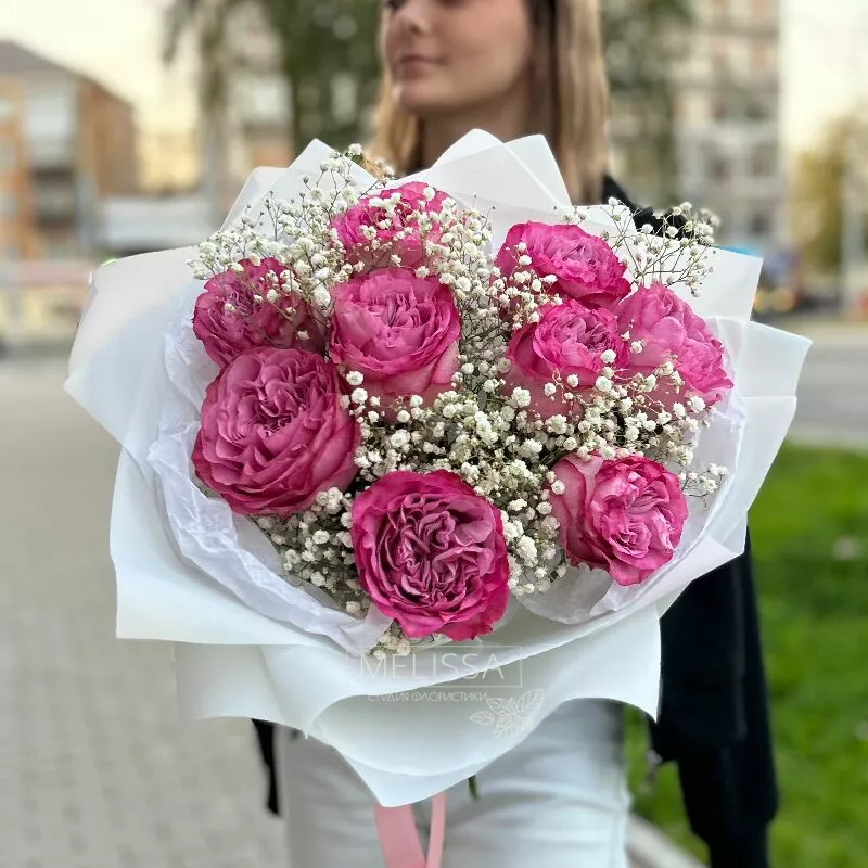 Без повода