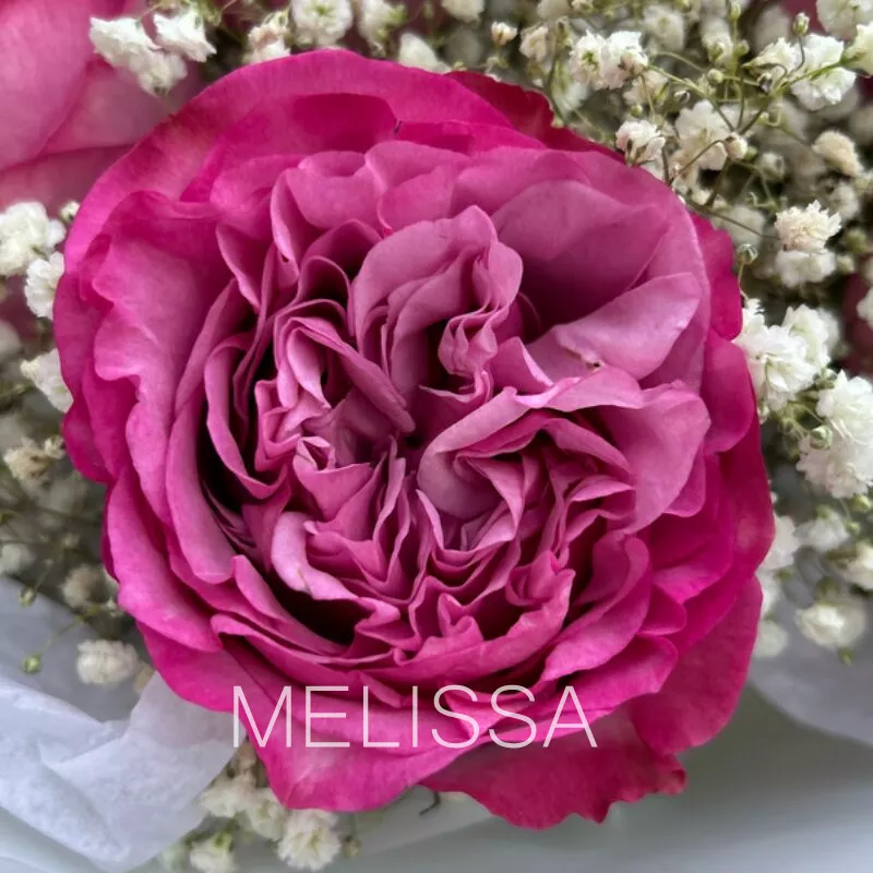 Без повода  1