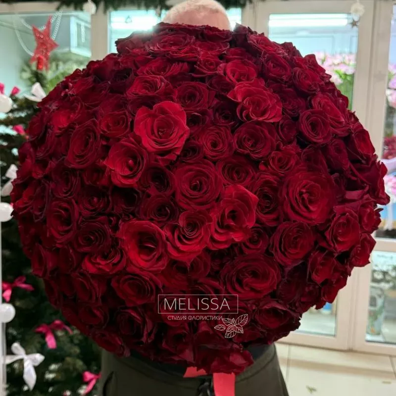 151 Роза эквадор 