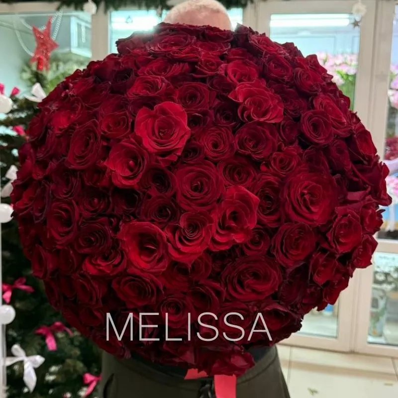 151 Роза эквадор 