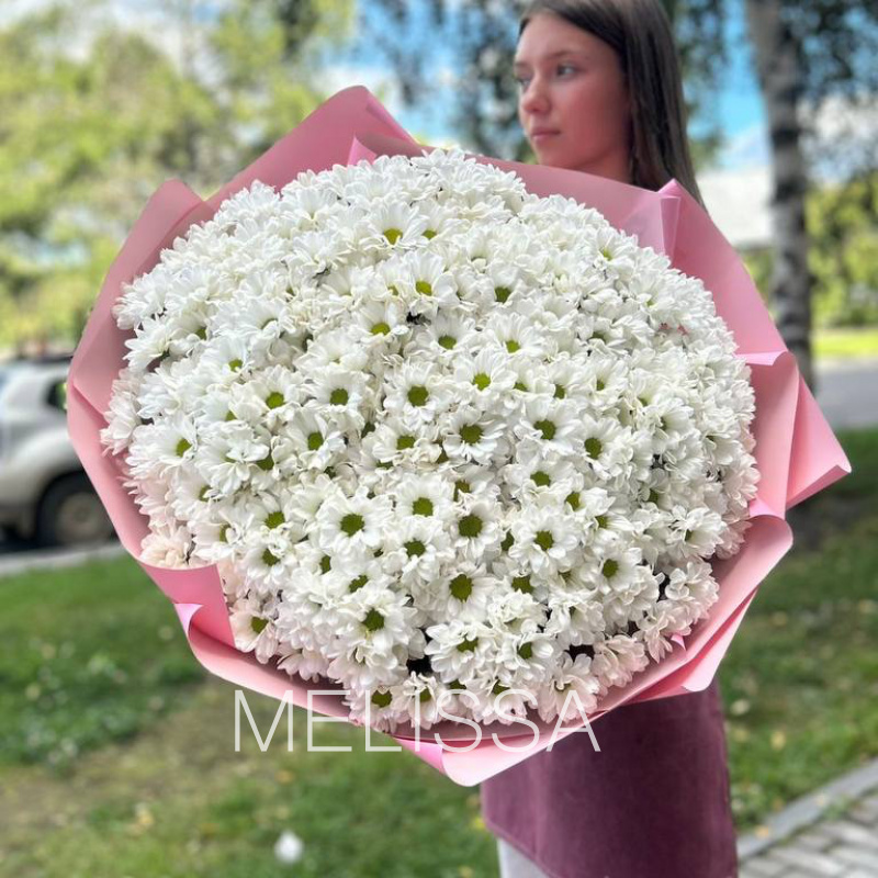 XL из хризантемы 