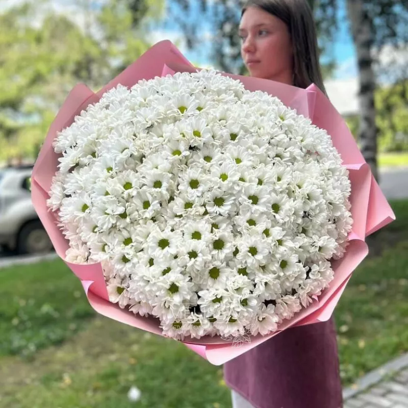 XL из хризантемы 