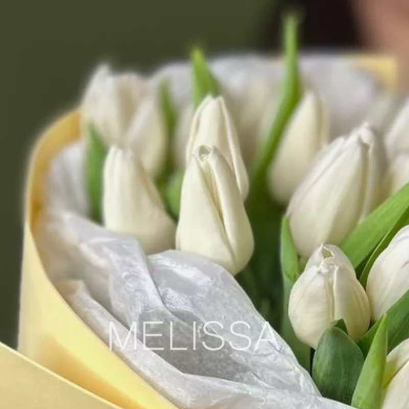 Белые тюльпаны 1