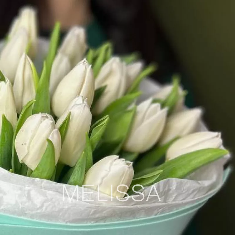 Нежные белые тюльпаны 1