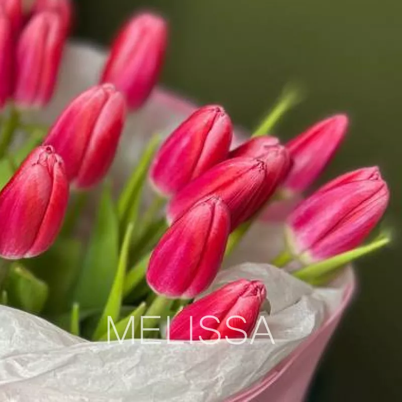 Розовые тюльпаны 1