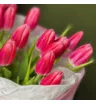 Розовые тюльпаны 1