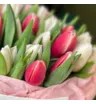 Розовые и белые тюльпаны 2