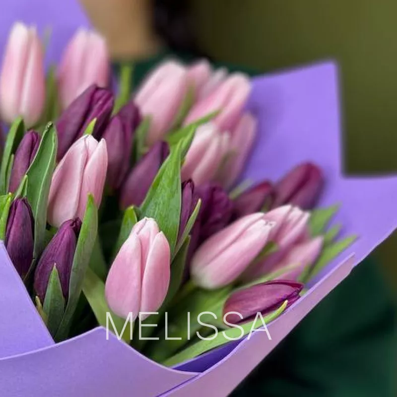 Тюльпаны мечты 1